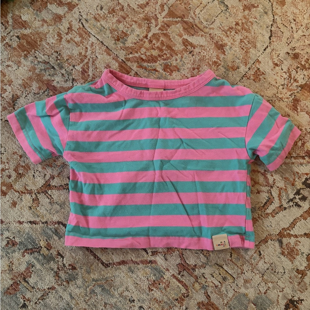 All Small Co., 12M, Pink & Teal Striped Kids Crop Tee